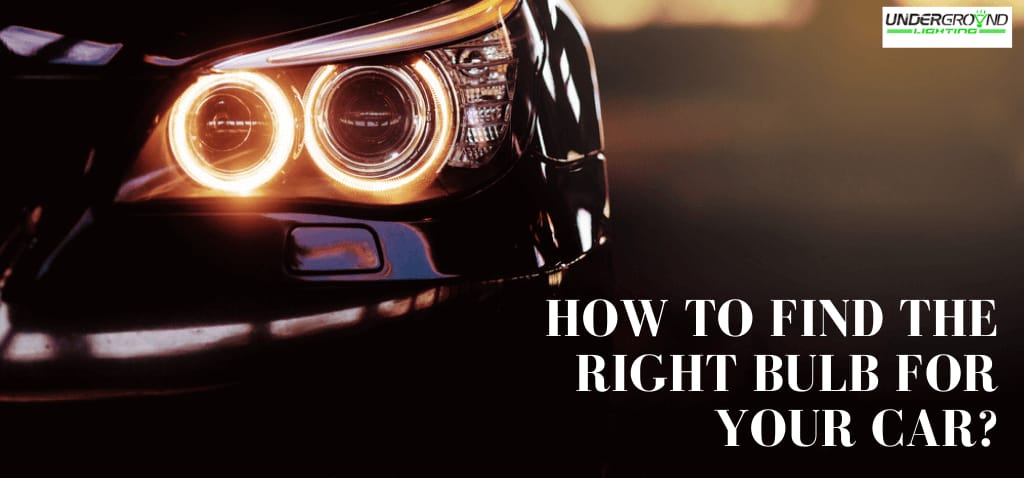 what bulb fits my car